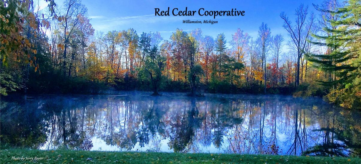 Red Cedar Cooperative photo